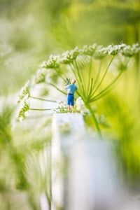Tiny People - Gardening