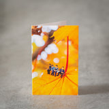 Minikort - Høstblad