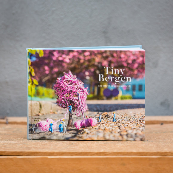 Tiny Bergen - Gatekunstbok